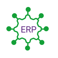 Custom ERP Solutions